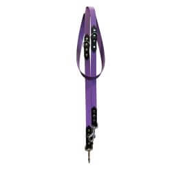 Laisse BioThane pour Chien...