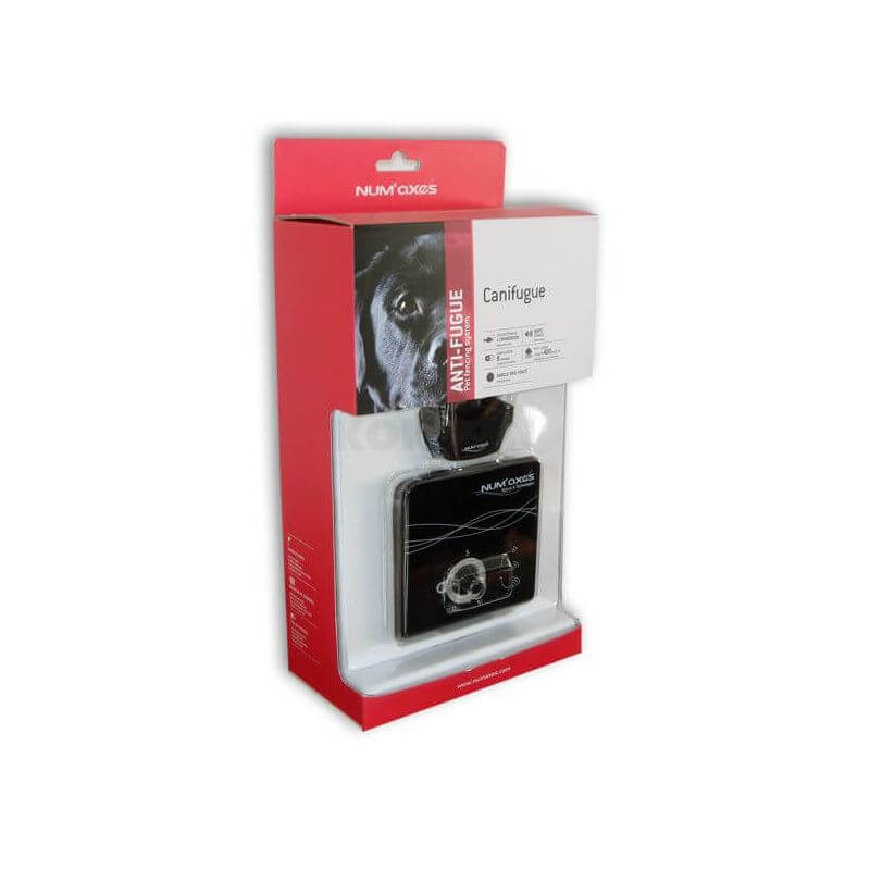 Set Canifugue 1 chien