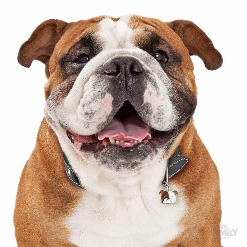 Médaille Friends Bulldog Anglais Médaille Friends Bulldog Anglais
