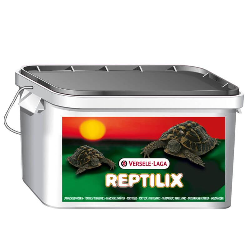 Reptilix Tortues terrestres 1kg Reptilix Tortues terrestres 1kg