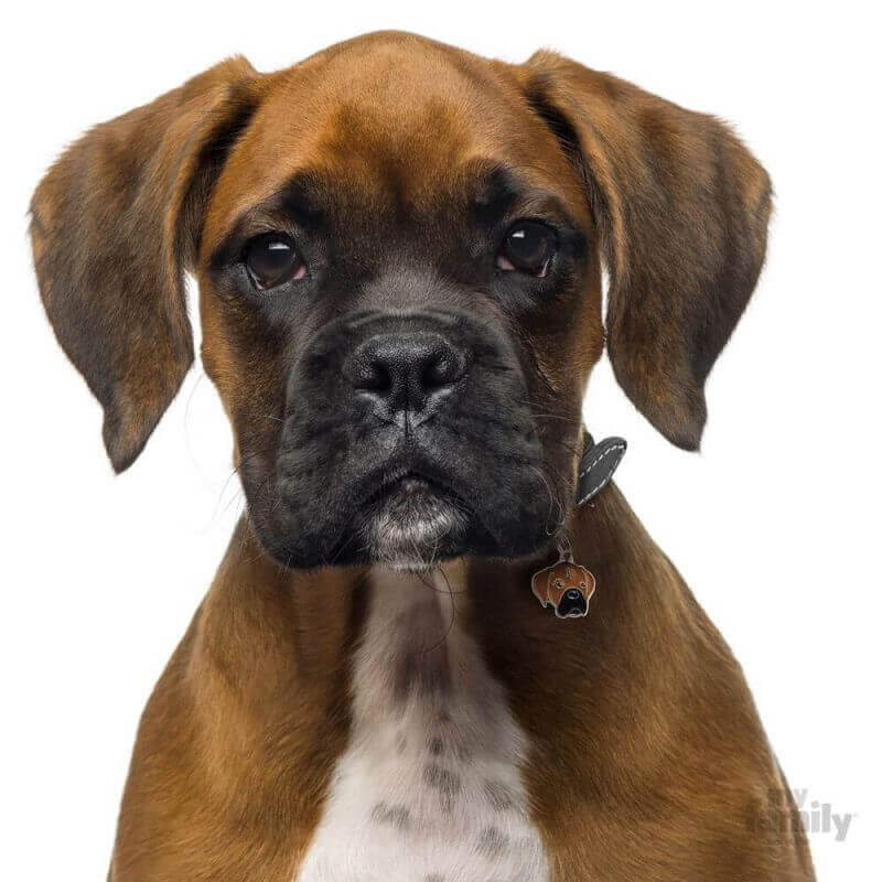 Médaille Friends Boxer Médaille Friends Boxer