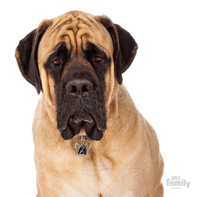 Médaille Friends Cane Corso marron