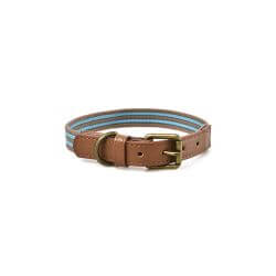 COLLIER STRIPES TURQUOISE 2XS