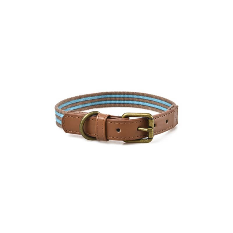 COLLIER STRIPES TURQUOISE 2XS