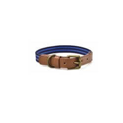 COLLIER STRIPES BLUE 2XS