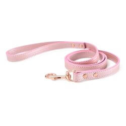 LAISSE SOIREE ROSE 100x2CM