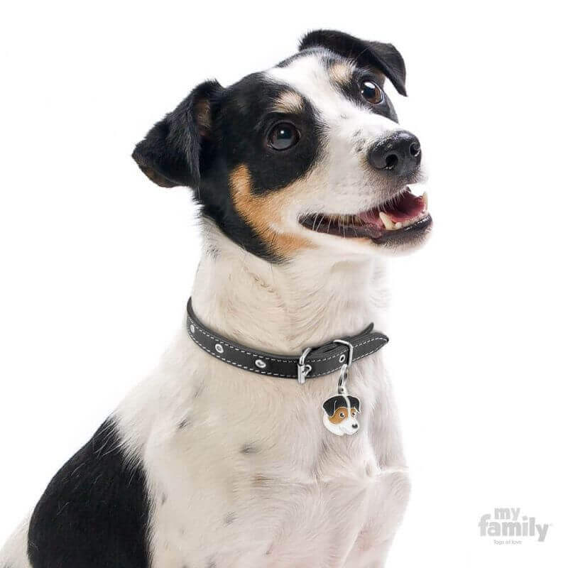 Médaille Friends Jack Russel Tricolor Médaille Friends Jack Russel Tricolor