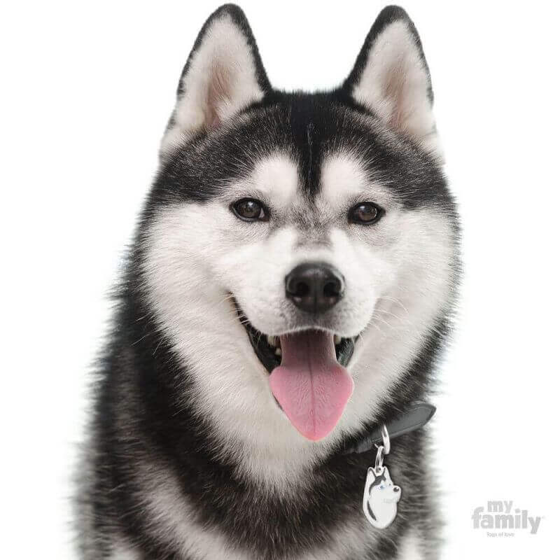 Médaille Friends Husky noir et blanc Médaille Friends Husky noir et blanc