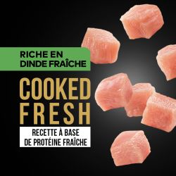 DAFF GRAIN FREE CHAT DINDE FRAICHE 2KG