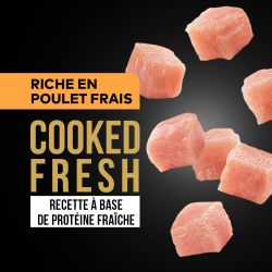 DAFF GRAIN FREE CHAT STERILISE POULET FRAIS 2KG