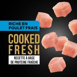 DAFF GRAIN FREE CHIOT POULET FRAIS 3KG