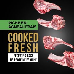 DAFF GRAIN FREE CHIEN ADULTE AGNEAU FRAIS 3KG