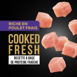 DAFF GRAIN FREE CHIEN SENIOR LIGHT POULET FRAIS 12KG