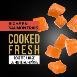 DAFF GRAIN FREE CHIEN ADULTE SAUMON FRAIS 12KG
