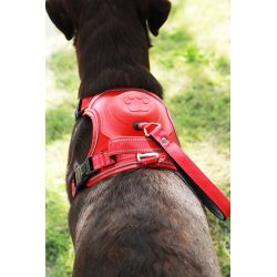 HARNAIS EASYRIDE L ROUGE