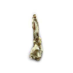 OREILLE DE LAPIN AVEC POILS...