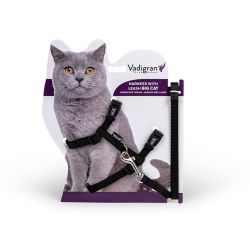 HARNAIS + LAISSE GRAND CHAT...