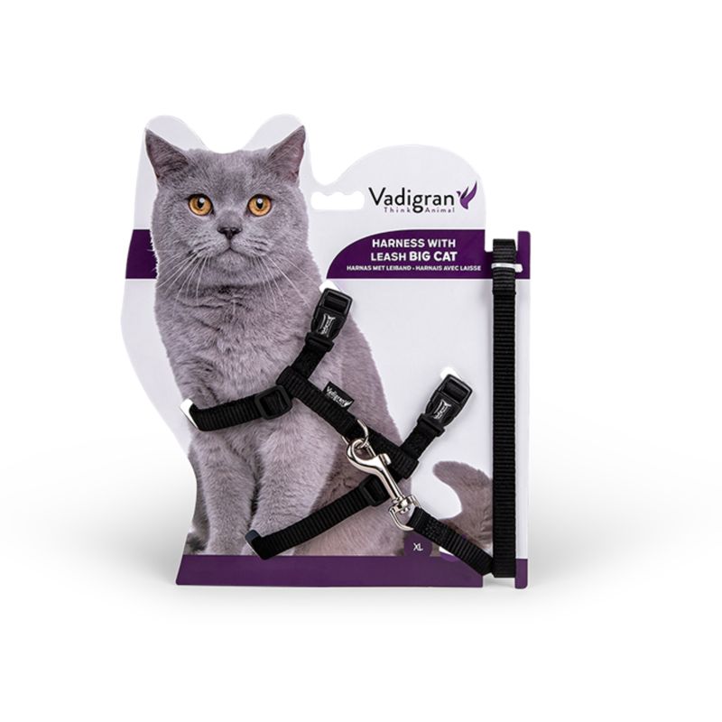 HARNAIS + LAISSE GRAND CHAT NOIR 34/57cm+120cm