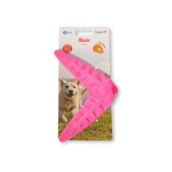 JOUET CHIEN TPR BOOMERANG...