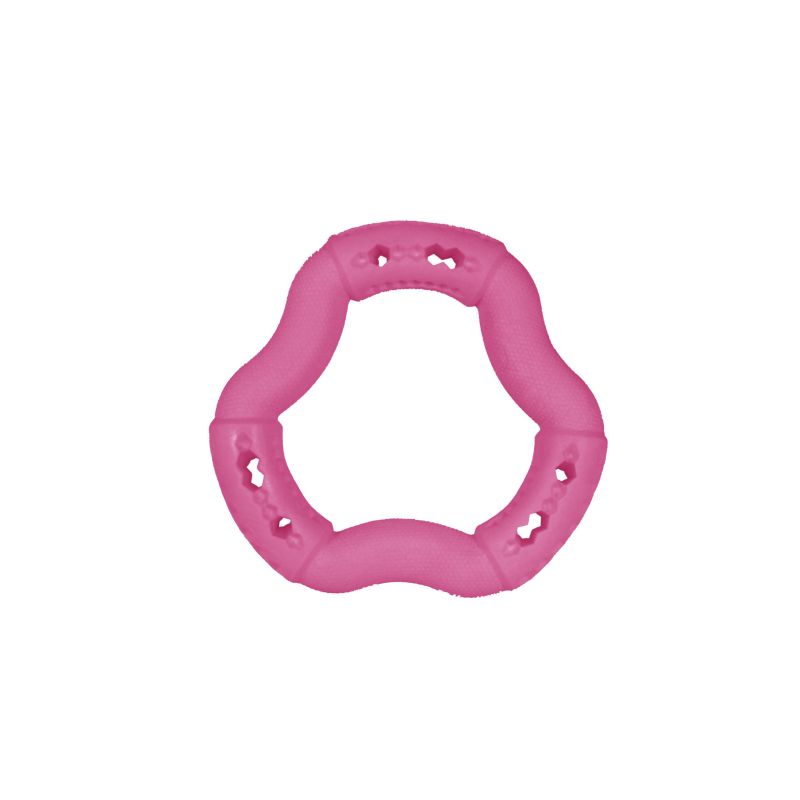 JOUET CHIEN TPR ANNEAU RED FRUTTI 21cm