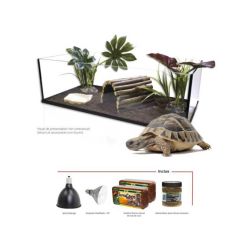 KIT TORTUE TERRA 100 EQUIPE...
