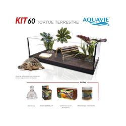 KIT TORTUE 60 EQUIPE RP