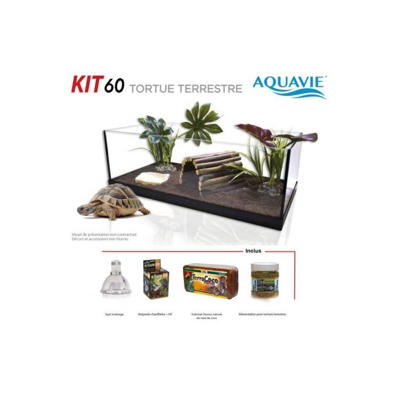 KIT TORTUE 60 EQUIPE RP