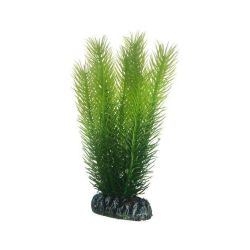 HOBBY MAYACA 16cm