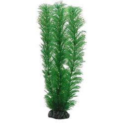 HOBBY EGERIA 20cm