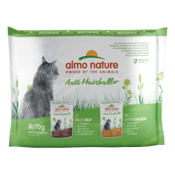 ALMO CHAT HOLISTIC...