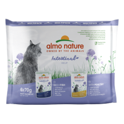 ALMO CHAT HOLISTIC...