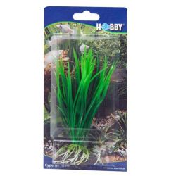 HOBBY CYPERUS 16cm