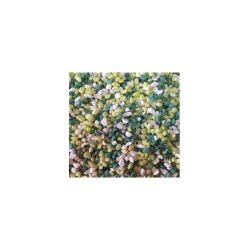 AQUASABLE COLOR MIX VERT S4 - POT 1kg