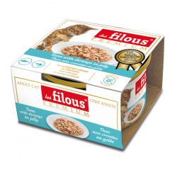 BOITE FILOUS CHAT THON...