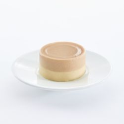 BOITE FILOUS CHAT MOUSSE POULET THON 85gr