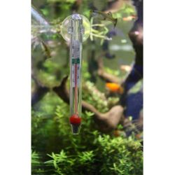 AQUAVIE THERMOMETRE EN VERRE
