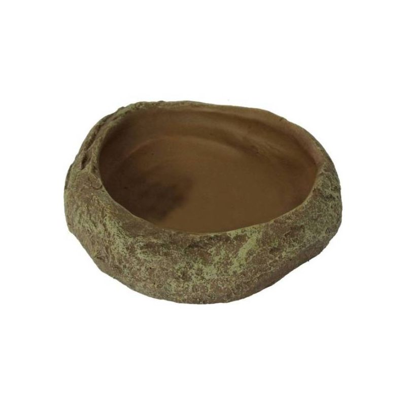 REPTI DISH M 12x11.5x3cm