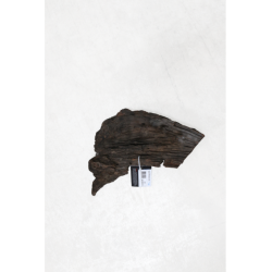 RACINE MANGROVE MS 25-40cm
