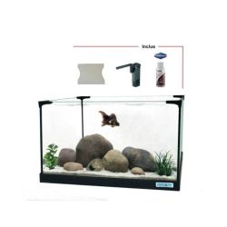 KIT 40 EQUIPE G2