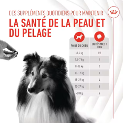 ROYAL CANIN ADULT SKIN & COAT SUPP 240gr
