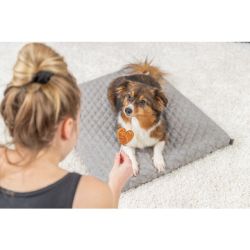 PREMIO LOLLY AU POULET & RIZ EN VRAC 10cm 35gr