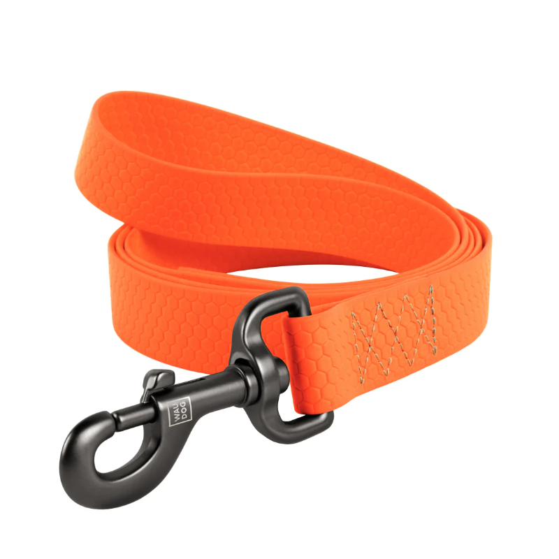 LAISSE WAUDOG COLLARTEX 20mm 122cm ORANGE