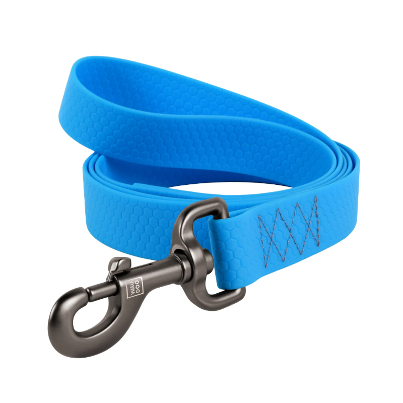 LAISSE WAUDOG COLLARTEX 20mm 122cm BLEU