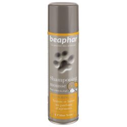 SHAMP MOUSSE SEC CN/CHAT...