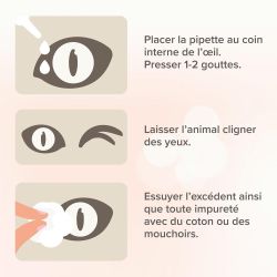 LOTION NETTOYANTE YEUX AVEC APPLICATEUR SOUPLE 50ml