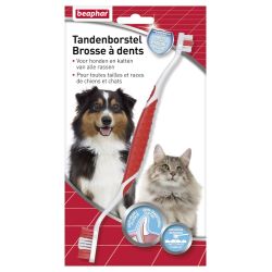 BROSSE A DENTS TOUTES...