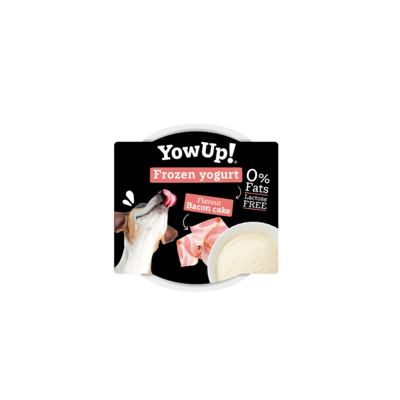 YOWUP GLACE SAVEUR CAKE BACON