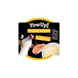 YOWUP GLACE SAVEUR SAUMON...