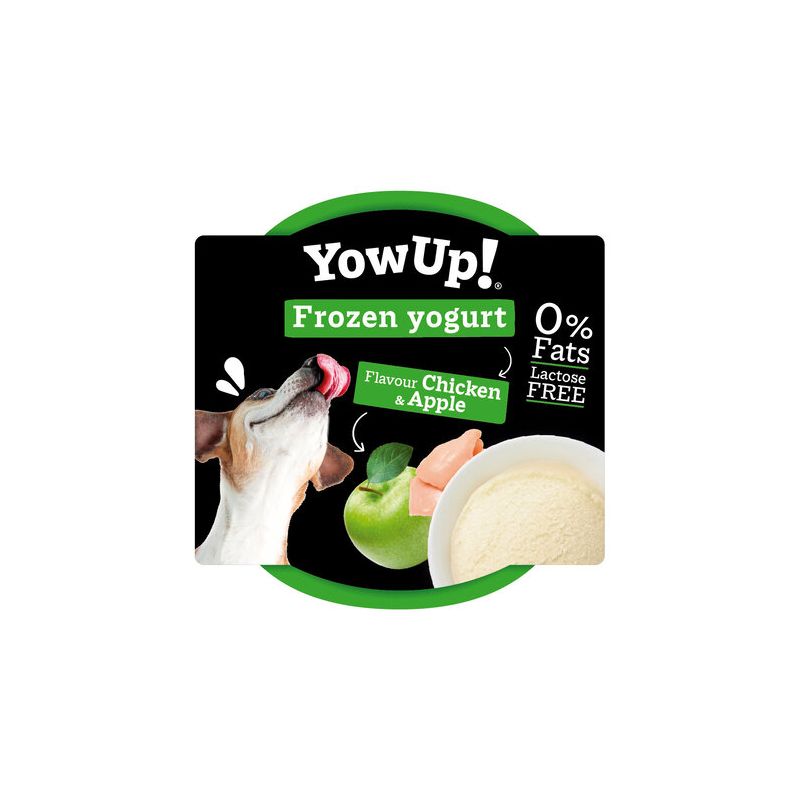 YOWUP GLACE SAVEUR POULET POMME