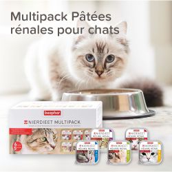PATEES RENALES MULTIPACK 6x100gr